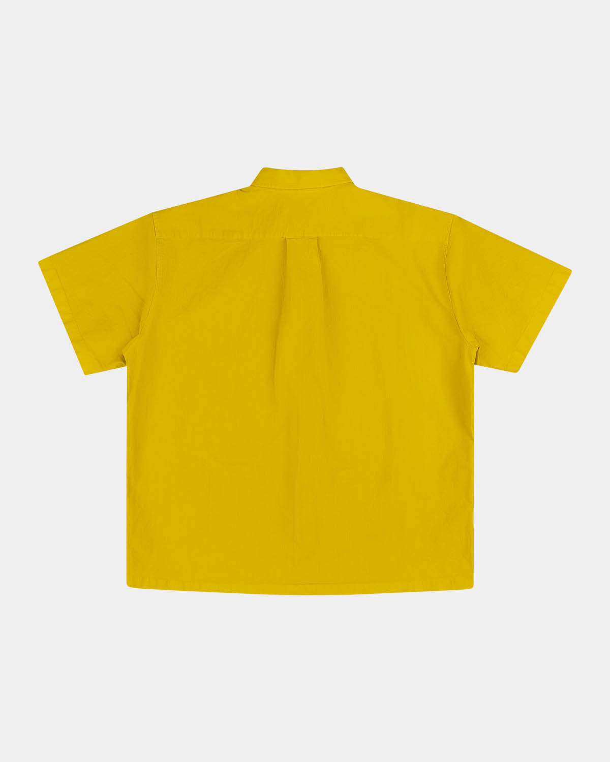 color:Mango Mint