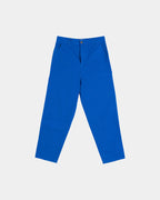 LIGHT CANVAS PAINTER PANT