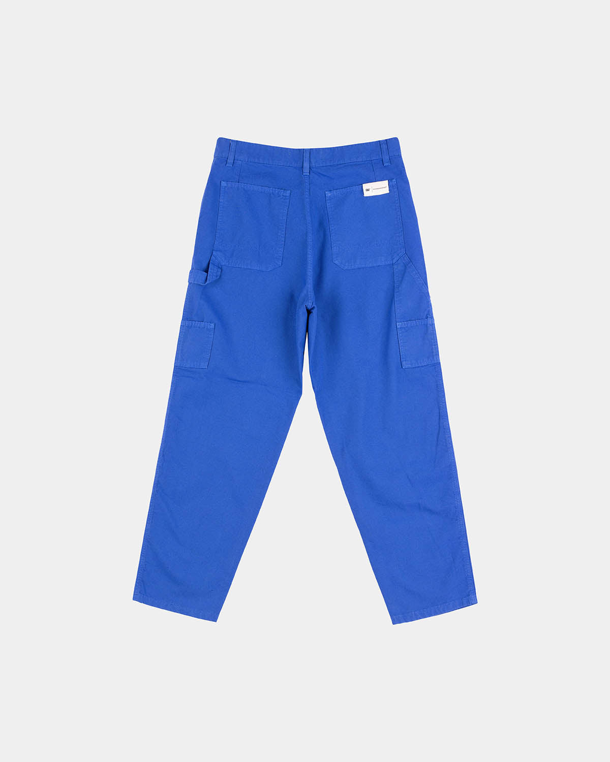 LIGHT CANVAS PAINTER PANT