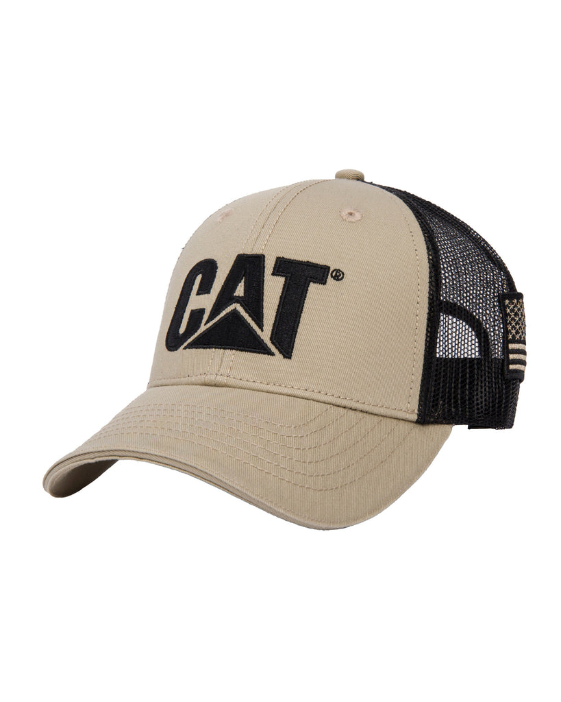 cat with baseball cap